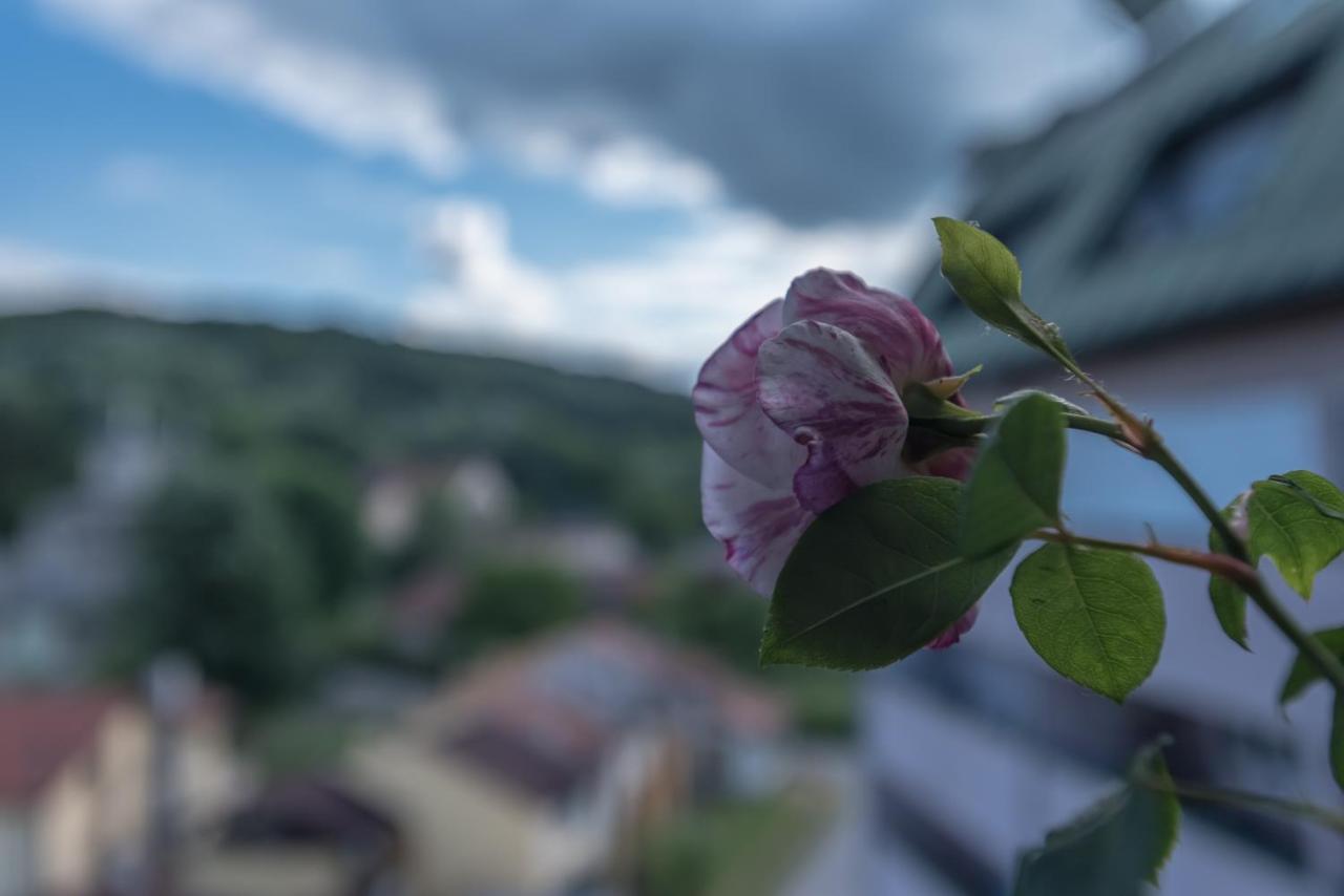 Onore Dell Amore Apartman Sa Djakuzijem Banja Koviljača Eksteriør bilde